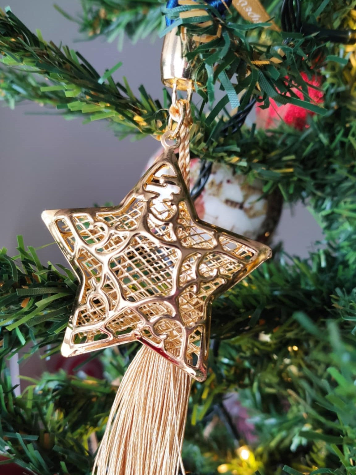 "Star 2025" Lucky Charm
